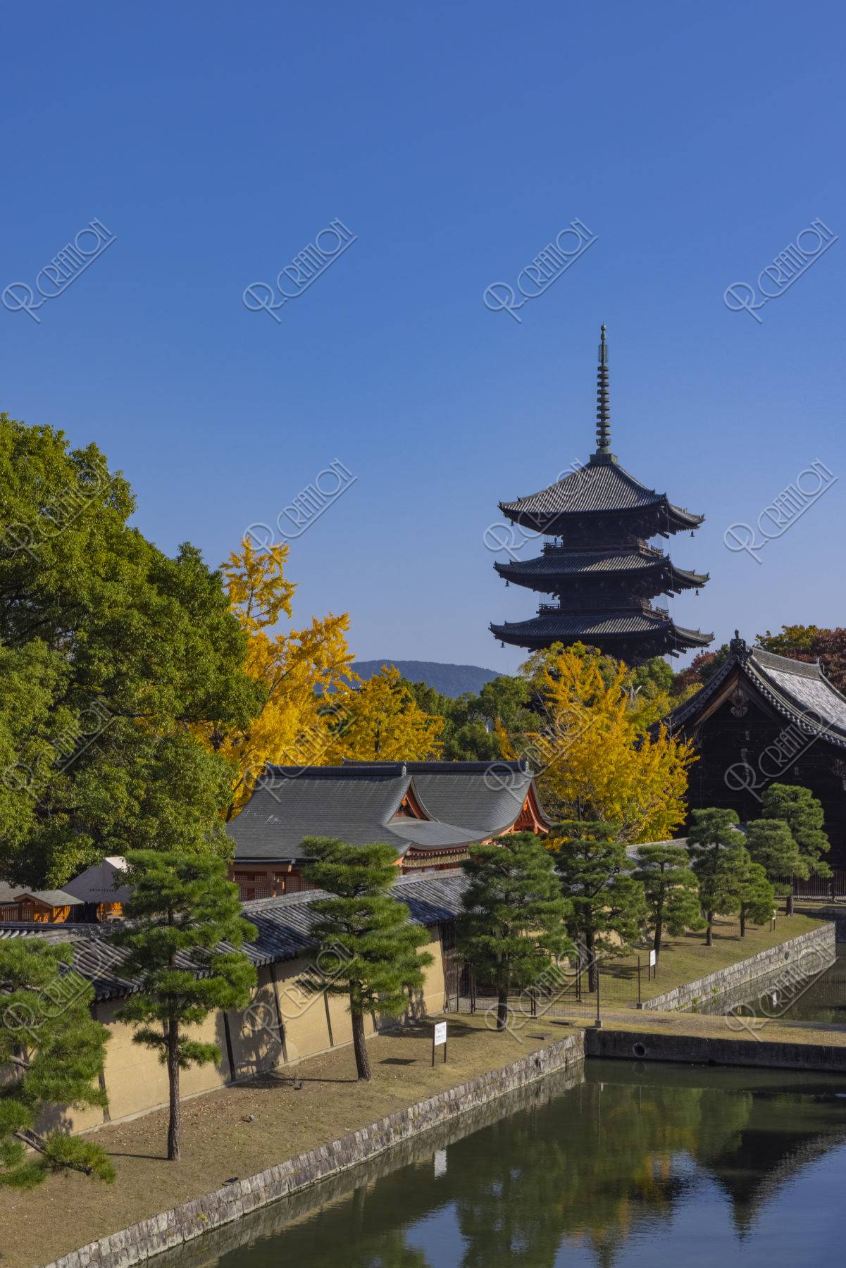 東寺と銀杏