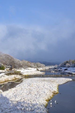 北大路橋からの賀茂川雪景色
