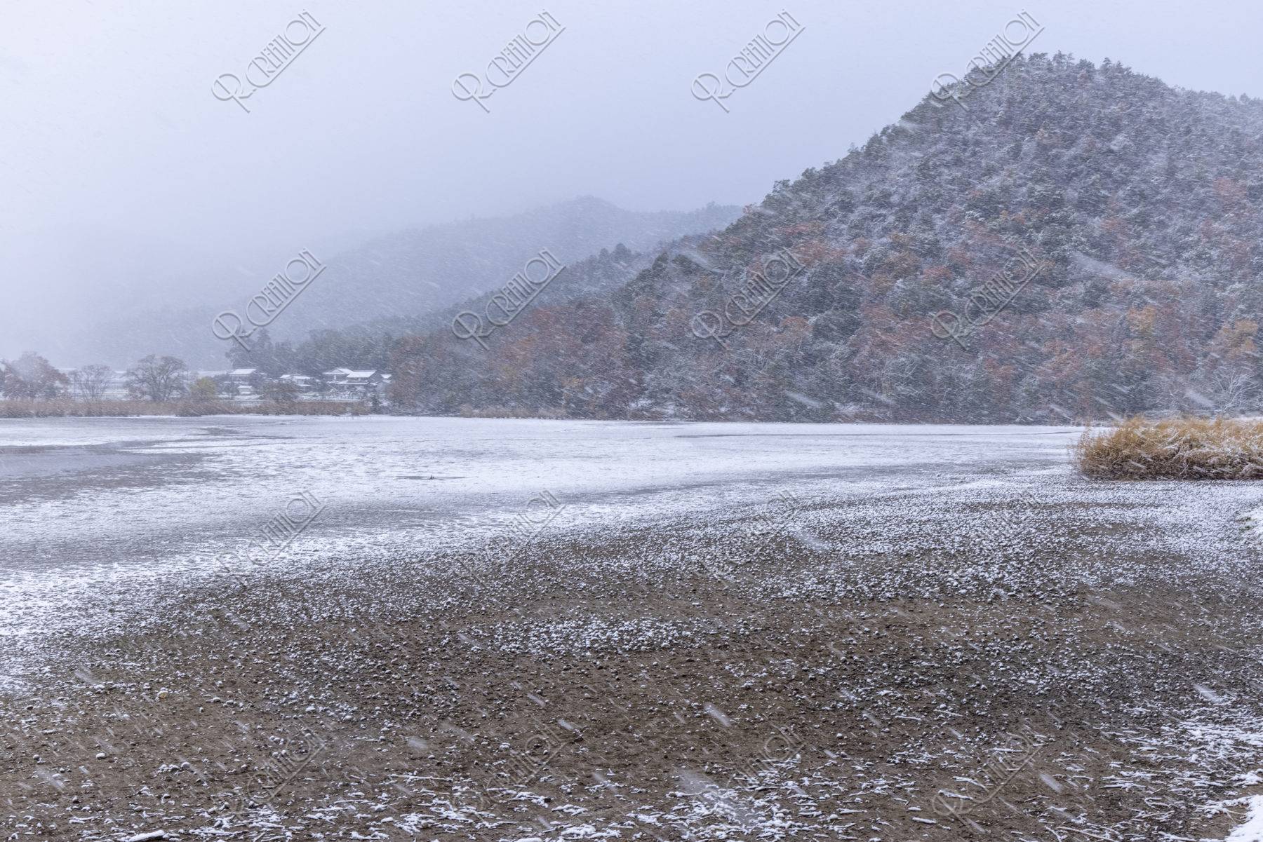広沢池 雪景色