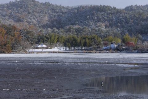 広沢池 雪景色