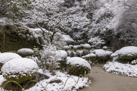 雪の詩仙堂庭園