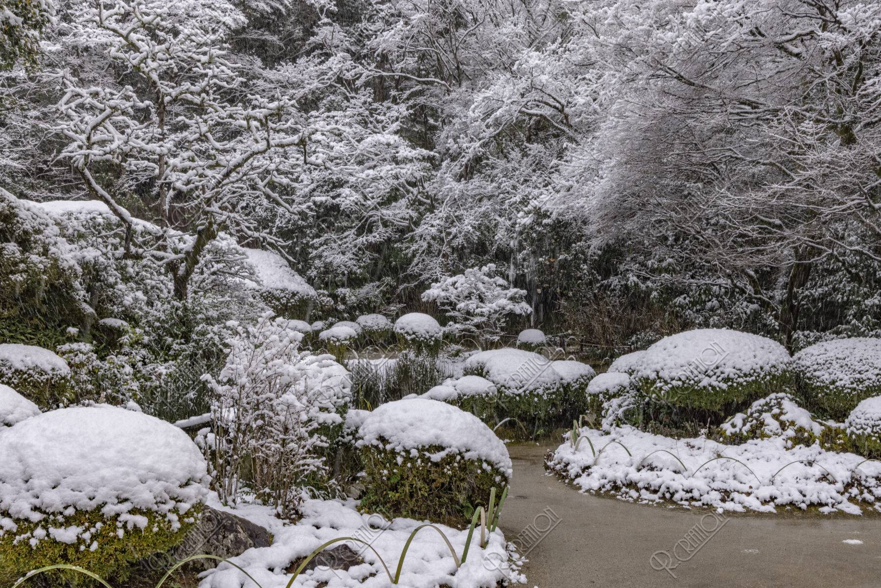 雪の詩仙堂庭園