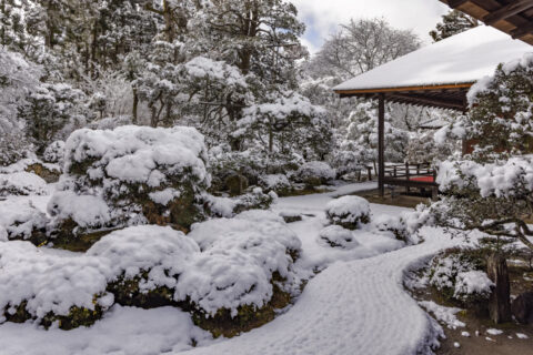 雪の曼殊院庭園