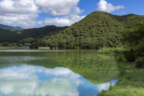広沢池と曼茶羅山