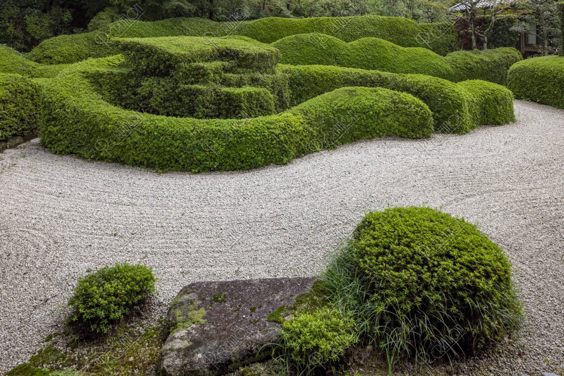大池寺 皐月の刈込庭園