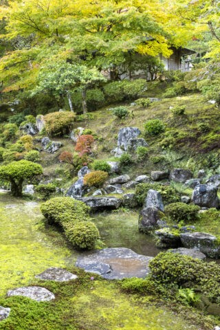 宗鏡寺 鶴亀の庭