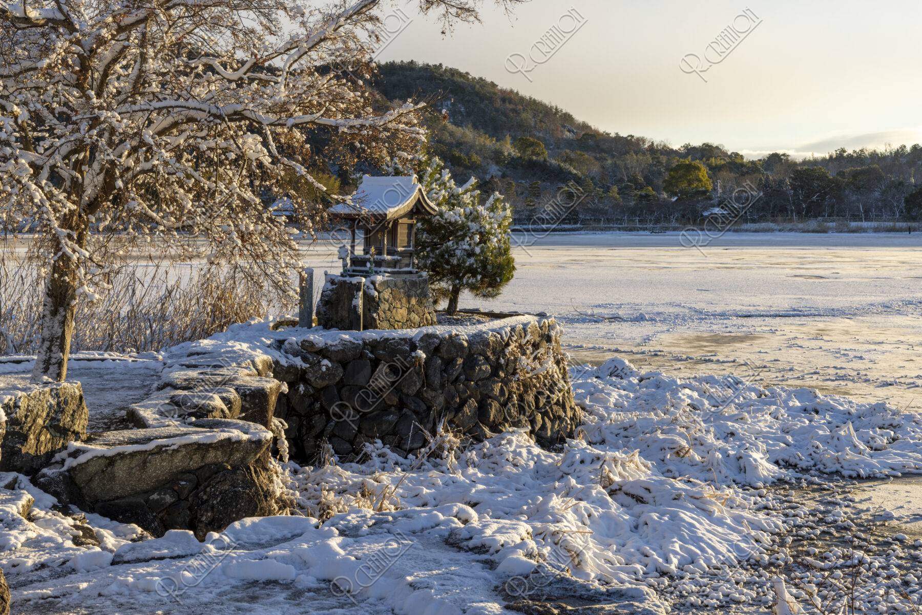 雪の広沢池観音島