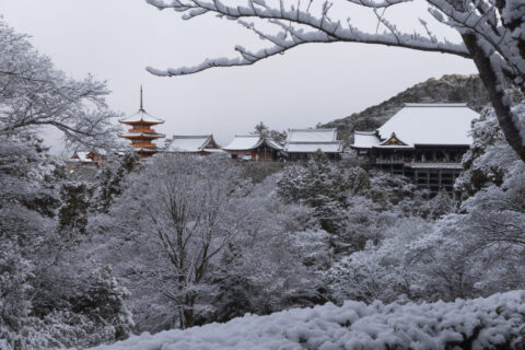 雪の清水寺 全景
