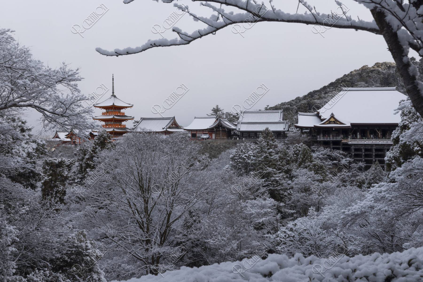 雪の清水寺 全景