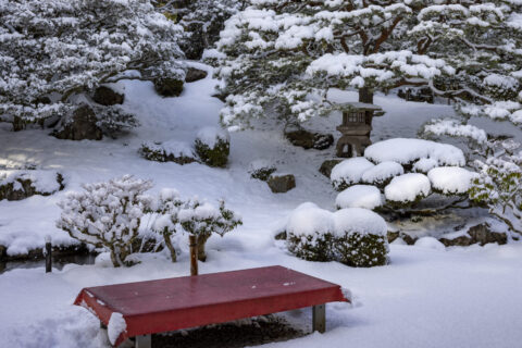 雪の旧竹林院庭園