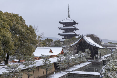 雪の東寺五重塔