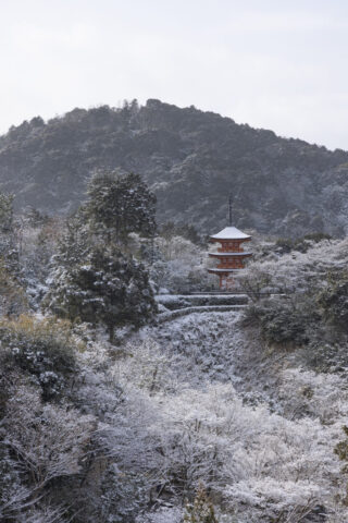 清水寺子安の塔雪景色
