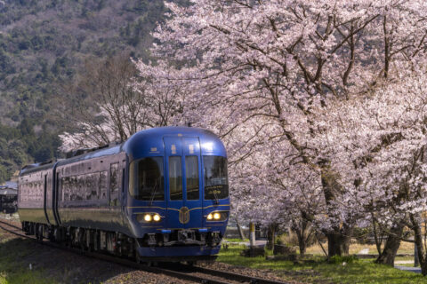 京都丹後鉄道 宮豊線と桜