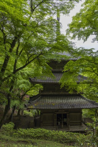 新緑の高源寺多宝塔