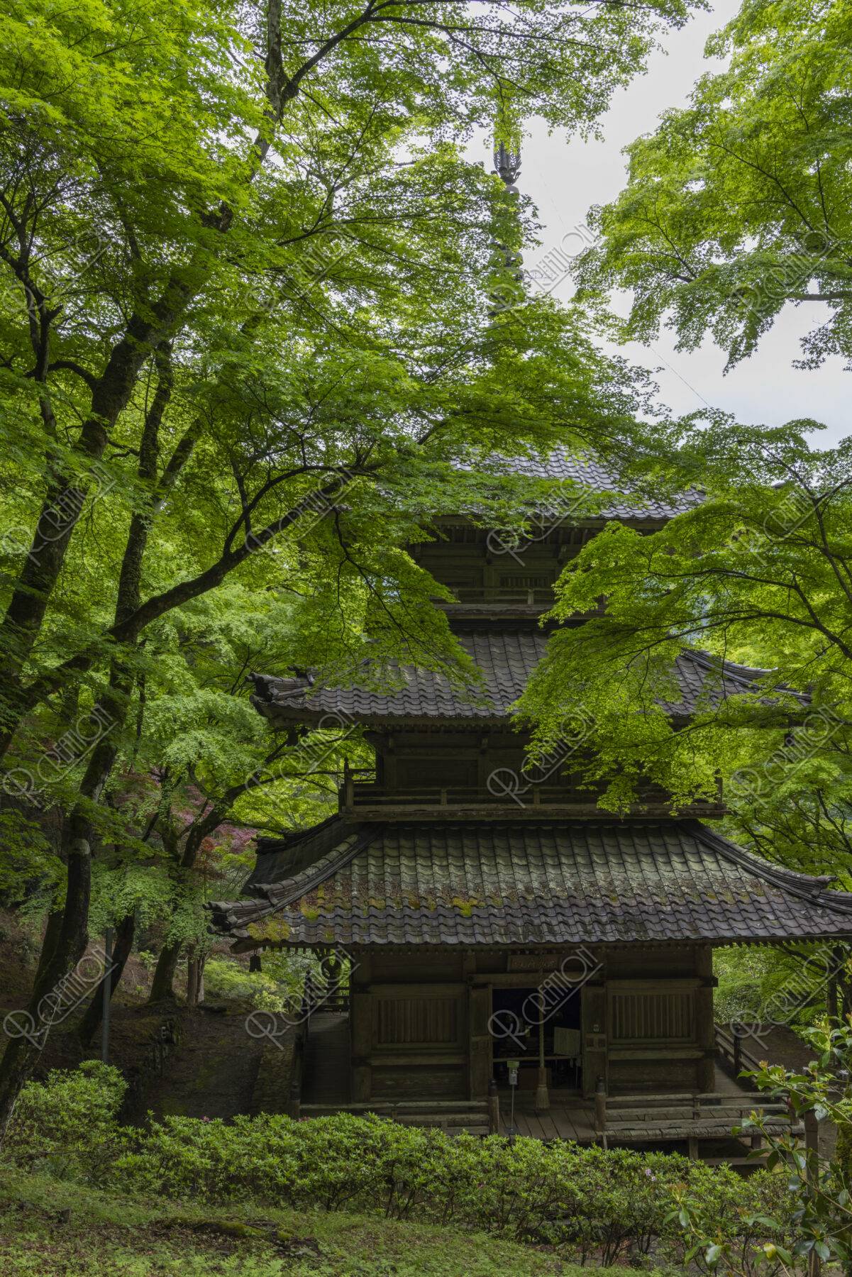 新緑の高源寺多宝塔