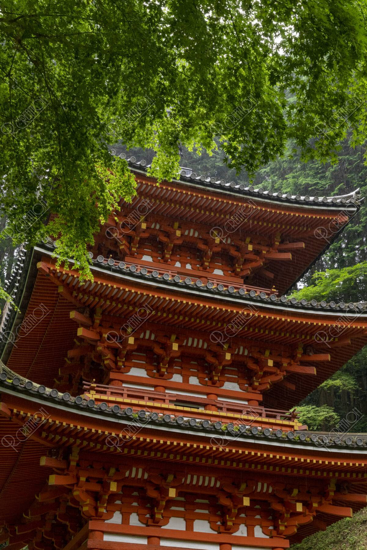 新緑の岩船寺三重塔