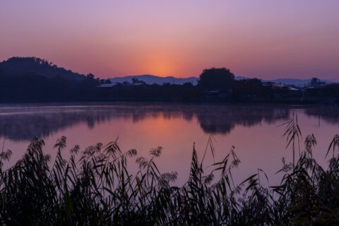 朝焼けと朝靄かかる広沢池