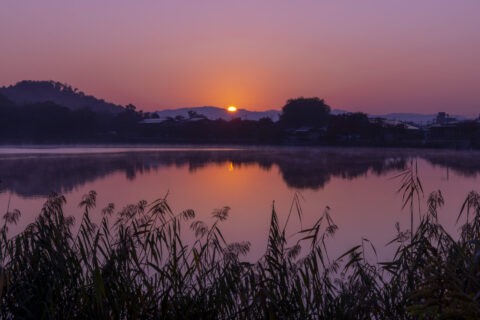 朝靄かかる広沢池と日の出
