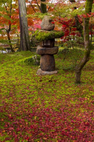 永観堂境内 石灯籠と紅葉