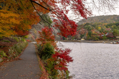 嵐山桂川と紅葉