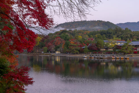 朝靄かかる小倉山と紅葉