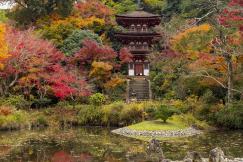 紅葉の浄瑠璃寺三重塔