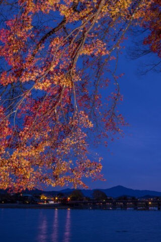 夜明け前の嵐山と紅葉