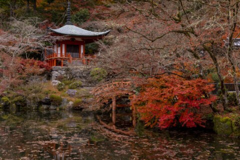 秋の醍醐寺弁天堂