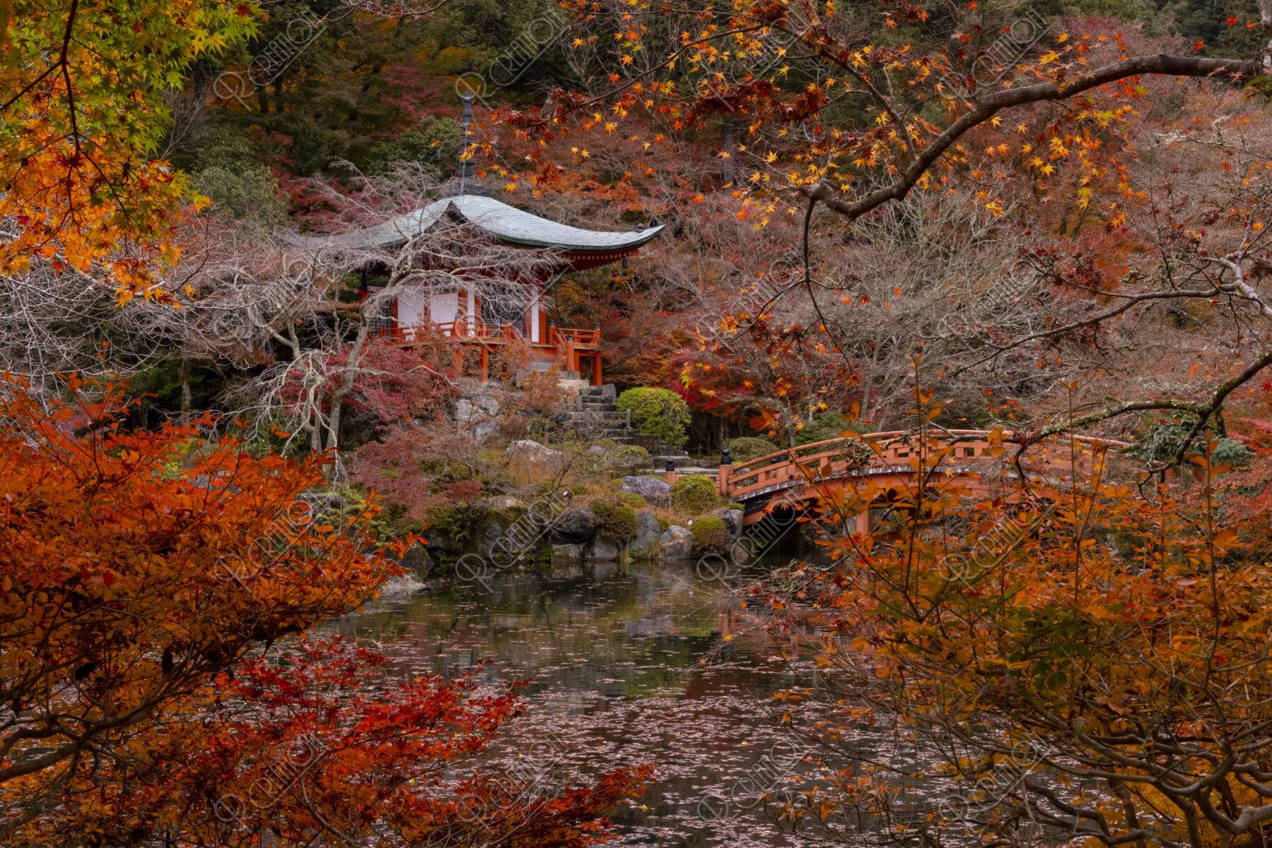 秋の醍醐寺弁天堂