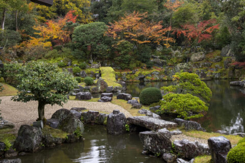 醍醐寺三宝院 秋の庭園