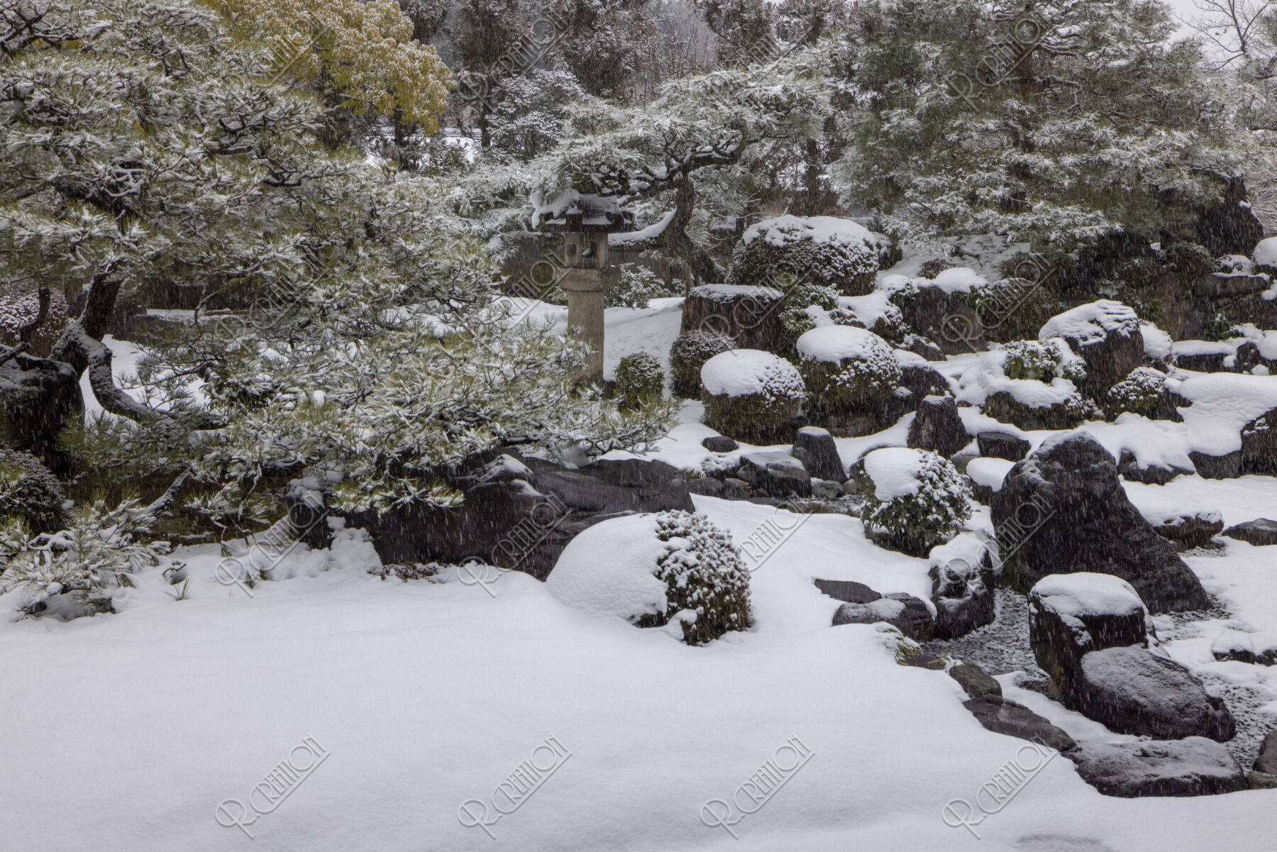 雪の妙満寺庭園