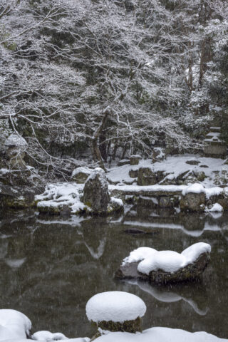 雪の蓮華寺庭園