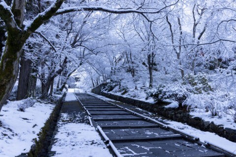雪の山科毘沙門堂参道