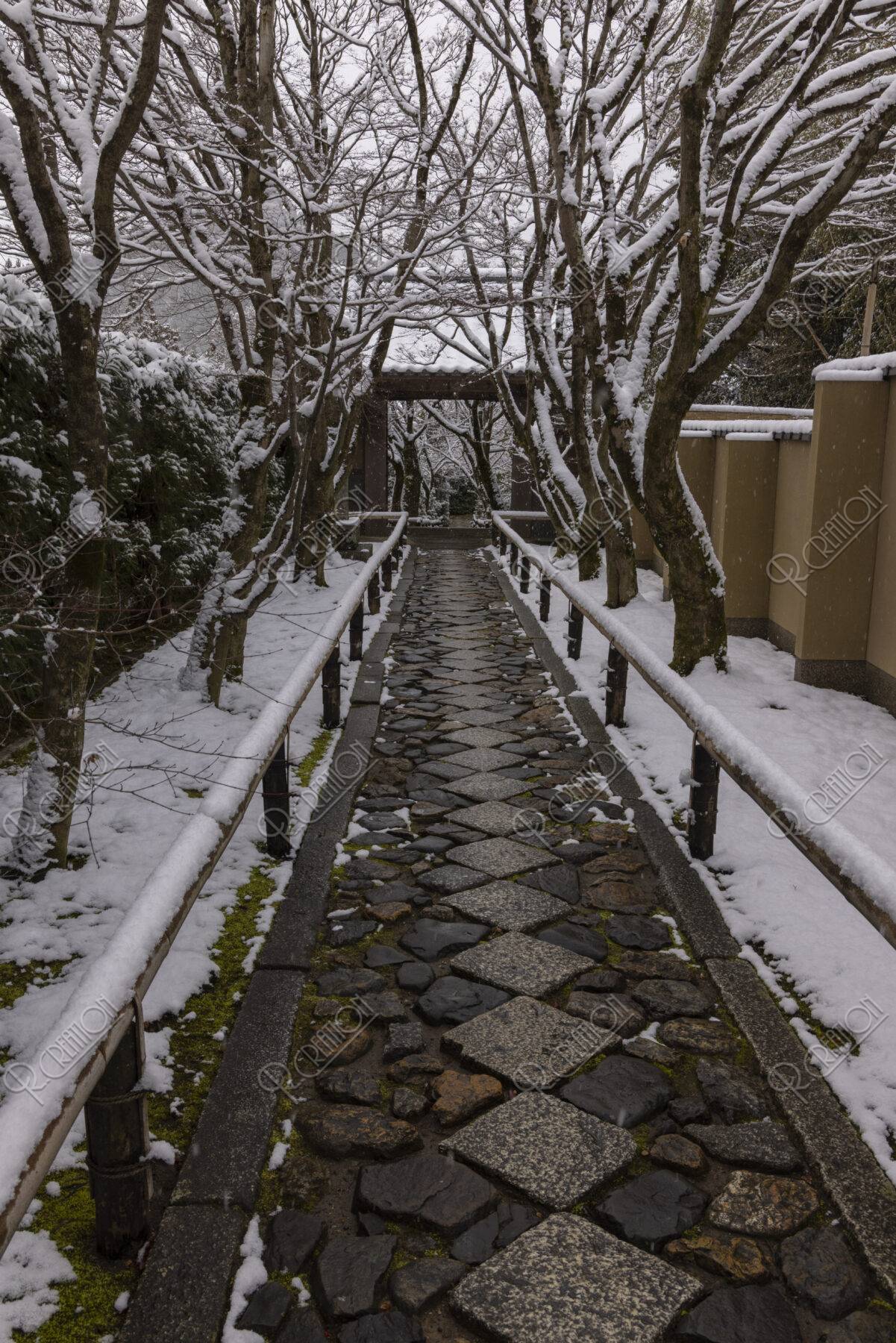 光悦寺 雪の参道