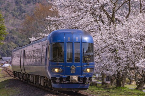 桜と丹後鉄道宮豊線特急