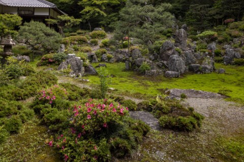 皐月咲く青岸寺庭園