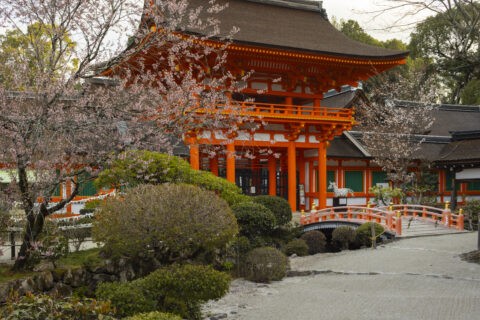上賀茂神社|楼門と桜