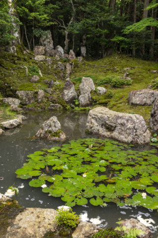 圓照寺庭園