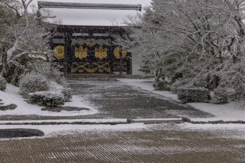 醍醐寺三宝院 国宝唐門