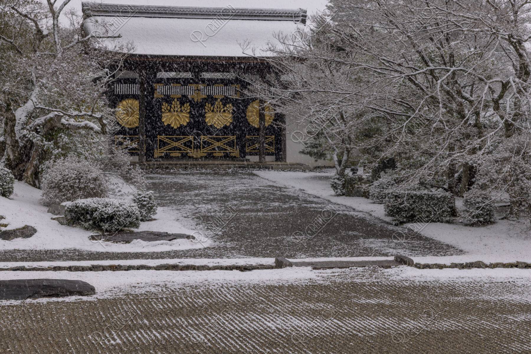 醍醐寺三宝院 国宝唐門