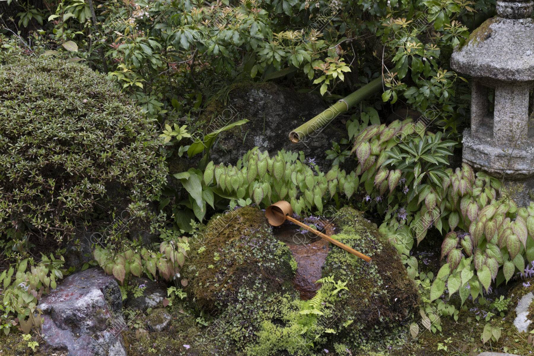 大原実光院 灯篭と蹲