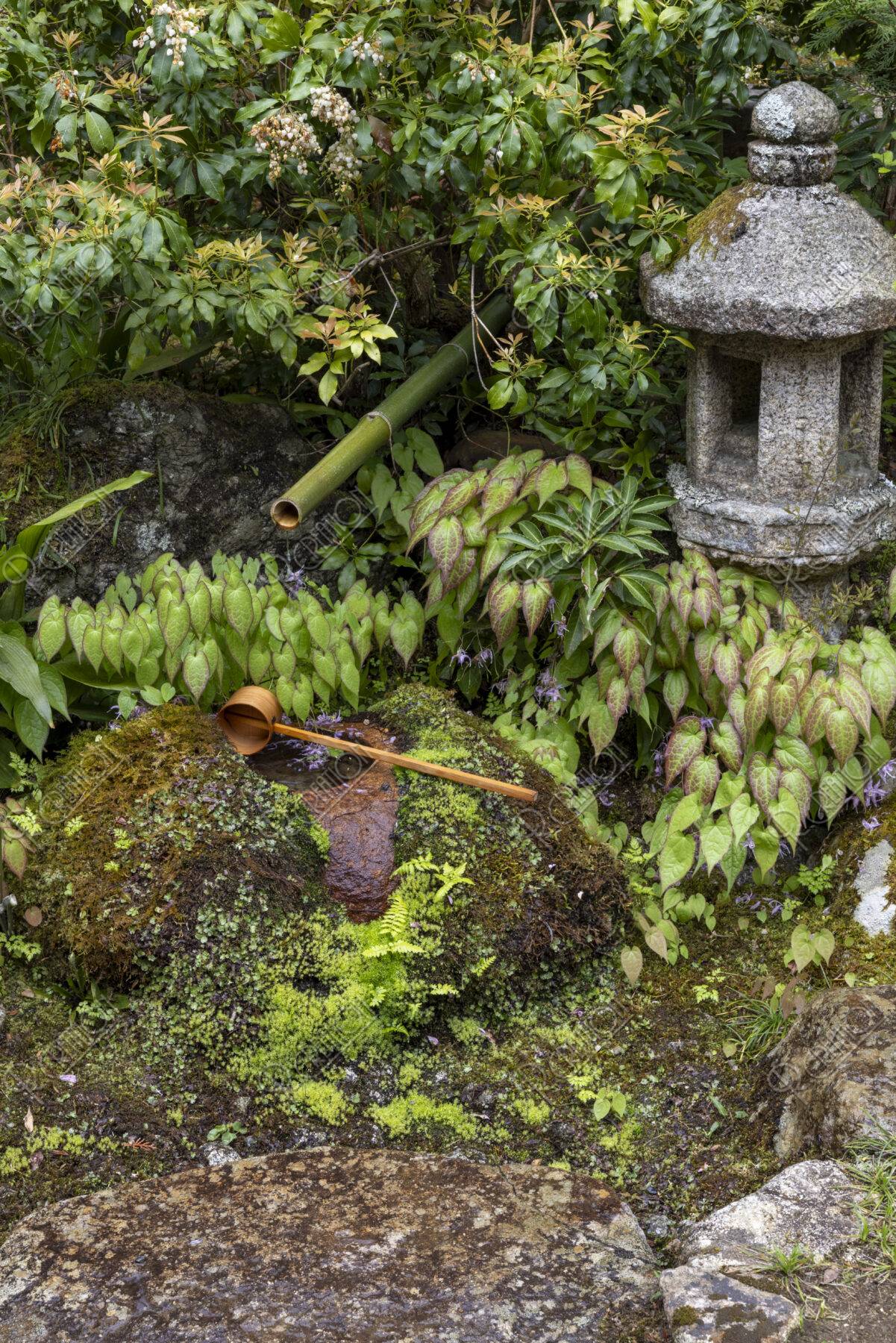 大原実光院 灯篭と蹲